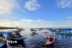 Hoạt động chèo SUP trên phá Tam Giang an toàn nhờ mực nước thấp (khoảng 80cm). (Ảnh: Mai Trang/TTXVN)