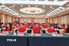 Đại diện đoàn thanh niên, thế hệ trẻ Việt Nam tìm hiểu về dấu chân Chủ tịch Hồ Chí Minh tại Trung Quốc. (Ảnh: Quang Hưng/TTXVN)