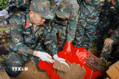 Cán bộ, chiến sỹ cẩn trọng trong quá trình quy tập hài cốt liệt sỹ. (Ảnh minh họa. Xuân Tư/TTXVN)