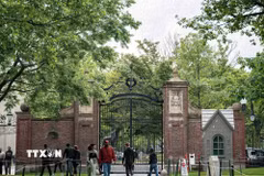 Khuôn viên Đại học Harvard ở Cambridge, bang Massachusetts, Mỹ. (Ảnh: THX/TTXVN)