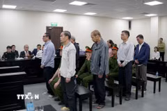 Các bị cáo tại phiên tòa. (Ảnh: Kim Anh/TTXVN)