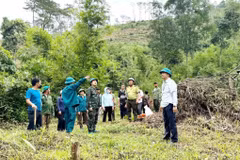 Ủy ban Nhân dân xã Quảng Khê (Lâm Đồng) tổ chức cưỡng chế, khôi phục lại 7,3ha đất lâm nghiệp đã bị trồng cây nông nghiệp trái phép và 27,7ha bị lấn chiếm chưa đưa vào sản xuất tại khoảnh 1, tiểu khu 1791, bon Phi Mur. (Ảnh: TTXVN phát)