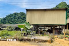 Hiện trường vụ tai nạn lao động khiến 5 người tử vong và 2 người bị thương tại trang trại Công ty TNHH DABACO Thanh Hóa. (Ảnh: TTXVN phát)