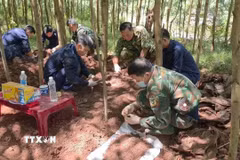 Ngày 3/10, Đội Tìm kiếm, quy tập hài cốt liệt sỹ số 1, Phòng Chính trị, Bộ Chỉ huy Quân sự tỉnh Quảng Trị đã tìm thấy, cất bốc và quy tập thêm 3 hài cốt liệt sỹ tại khu vực rừng tràm thuộc bản Bãi Dinh, xã Dân Hóa, tỉnh Quảng Trị và đưa các anh trở về. (Ảnh: TTXVN phát)