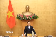 Phó Thủ tướng Hồ Đức Phớc, Trưởng Ban chỉ đạo Tổng điều tra nông nghiệp 2025 trung ương phát biểu. (Ảnh: Tuấn Anh/TTXVN)