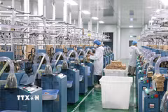 Hoạt động sản xuất tại các doanh nghiệp FDI trên địa bàn tỉnh Tây Ninh. (Ảnh: Bùi Giang/TTXVN)