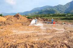 Thực hiện xử lý đất nhiễm chất độc dioxin tại sân bay A So bằng phương pháp sinh học. (Ảnh: TTXVN phát)