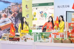 Các doanh nghiệp Việt Nam trưng bày giới thiệu nhiều loại sản phẩm chất lượng cao tại CAEXPO lần thứ 23. (Ảnh: Công Tuyên/TTXVN)