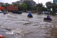 (Ảnh minh họa. Văn Điệp/TTXVN)