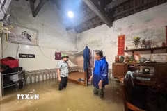 Toàn xã Nông Cống có 278 hộ thực hiện sơ tán tại chỗ. (Ảnh: TTXVN phát)