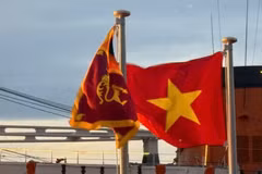 Asian Para Games 2026: 21 vận động viên Việt Nam tranh tài ở 5 môn thể thao