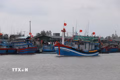 Tàu đánh cá của ngư dân Quảng Ngãi. (Ảnh: Phạm Cường/TTXVN)