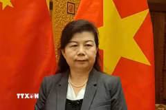 Bà Lưu Anh, nghiên cứu viên Viện Nghiên cứu Tài chính Trùng Dương, Đại học Nhân dân Trung Quốc, nhận định chuyến thăm Trung Quốc của Chủ tịch Quốc hội Trần Thanh Mẫn có ý nghĩa quan trọng. (Ảnh: Quang Hưng/TTXVN)