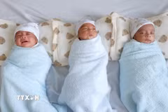 Ba em bé sức khỏe ổn định sau thời gian gần hai tháng được chăm sóc tại Bệnh viện Phụ sản Cần Thơ. (Ảnh: TTXVN phát)