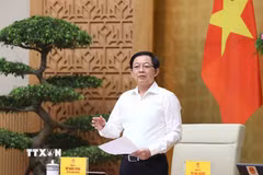 Phó Thủ tướng Hồ Quốc Dũng phát biểu. (Ảnh: An Đăng/TTXVN)