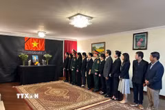Đại sứ Việt Nam tại Brazil, Bùi Văn Nghị, cùng toàn thể cán bộ, nhân viên và gia đình Đại sứ quán và Phòng Tùy viên Quốc phòng viếng nguyên Chủ tịch nước Trần Đức Lương. (Ảnh: Đại sứ quán cung cấp/TTXVN phát)