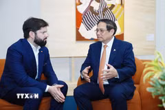 Thủ tướng Phạm Minh Chính gặp Tổng thống Chile Gabriel Boric. (Ảnh: Dương Giang/TTXVN)