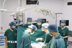(Ảnh minh họa: TTXVN phát)