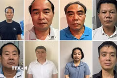 Một số bị can từ trái qua phải: Bùi Thanh Bình, Nguyễn Văn Bình, Ngô Tiến Cương, Nguyễn Duy Nghiệp, Nguyễn Xuân Tốt, Nguyễn Văn Đức, Lê Xuân Định, Nguyễn Trường Giang. (Ảnh: TTXVN phát)