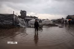 Khu lều tạm cho người tị nạn Palestine tại thành phố Gaza bị ngập nước do mưa lớn năm 2025. (Ảnh: THX/TTXVN)