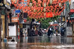 Sáng 16/9, ngập úng xảy ra trên phố Ngọc Lâm (Hà Nội), khiến việc đi lại của người dân gặp nhiều khó khăn. (Ảnh minh họa: Minh Quyết/TTXVN)