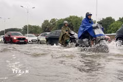 (Ảnh minh họa: Phan Phương/TTXVN)