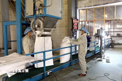 Dây chuyền sản xuất tại Công ty cổ phần Mía đường Sơn Dương (Tuyên Quang). (Ảnh: Quang Cường/TTXVN)