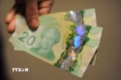 Một đồng tiền của Canada. (Ảnh minh họa: AFP/TTXVN)