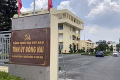 Đồng Nai vận hành thử nghiệm chính quyền 2 cấp từ ngày 13/6