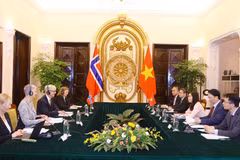 Quang cảnh buổi tham vấn chính trị cấp Thứ trưởng Ngoại giao Việt Nam-Na Uy năm 2023. (Ảnh: Văn Điệp/TTXVN)