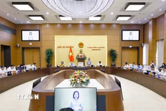 Phó Chủ tịch Quốc hội Nguyễn Thị Thanh phát biểu. (Ảnh: Doãn Tấn/TTXVN)