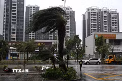 Gió lớn khi bão Ragasa đổ bộ, tại thành phố Dương Giang, tỉnh Quảng Đông, Trung Quốc, ngày 24/9/2025. (Ảnh: THX/TTXVN)