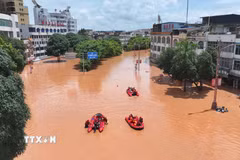 Lực lượng cứu hộ hỗ trợ người dân sơ tán khỏi khu vực ngập lụt do bão Narra tại tỉnh Quảng Tây, Trung Quốc ngày 25/8/2026. (Ảnh: THX/TTXVN phát)