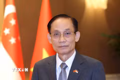 Đồng chí Lê Hoài Trung, Ủy viên Bộ Chính trị, Bí thư Đảng ủy, Bộ trưởng Bộ Ngoại giao trả lời phỏng vấn báo chí. (Ảnh: Phương Hoa/TTXVN)
