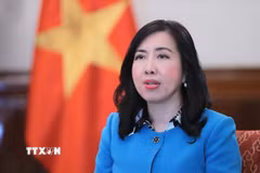Thứ trưởng Bộ Ngoại giao Lê Thị Thu Hằng. (Ảnh: An Đăng/TTXVN)