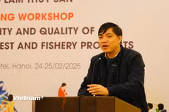 Ông Nguyễn Văn Thuận, Trưởng phòng Chất lượng và Nông nghiệp hữu cơ, Cục Chất lượng chế biến và phát triển thị trường, Bộ Nông nghiệp và Môi trường. (Ảnh: Vietnam+)