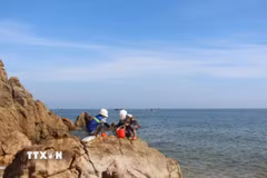 Lực lượng chức năng tiến hành lấy mẫu nước biển để phân tích các chỉ tiêu theo quy định để xác định nguyên nhân cá chết trôi vào bờ biển. (Ảnh: TTXVN phát)