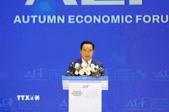 Ông Nguyễn Văn Được, Chủ tịch Ủy ban Nhân dân Thành phố Hồ Chí Minh phát biểu bế mạc. (Ảnh: Xuân Khu/TTXVN)