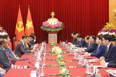 Đồng chí Trần Cẩm Tú, Ủy viên Bộ Chính trị, Thường trực Ban Bí thư, phát biểu tại buổi tiếp Trưởng đoàn các chính đảng các nước ASEAN. (Ảnh: Phương Hoa/TTXVN)