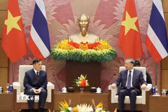 Tổng Bí thư, Chủ tịch nước Tô Lâm và Nhà vua Thái Lan Maha Vajiralongkorn Phra Vajiraklaochaoyuhua hội đàm. (Ảnh: Thống Nhất/TTXVN)