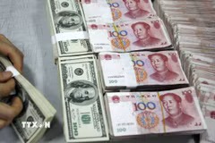Nhân viên kiểm đồng USD và nhân dân tệ. (Ảnh: AFP/TTXVN)