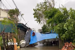 Mái tôn của nhiều hộ dân tại xã Nghi Xuân bị bão làm đổ sập. (Ảnh: Hữu Quyết/TTXVN)