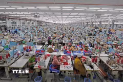 Công ty SCAVI Huế (100% vốn đầu tư của Tập đoàn Financière B’Lao (Cộng hòa Pháp) chuyên sản xuất hàng may mặc quần áo nội y, thể thao, bảo hộ… tại Khu công nghiệp Phong Điền, Huế. (Ảnh: Trần Việt/TTXVN)