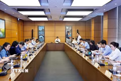 Đoàn đại biểu Quốc hội các tỉnh Nghệ An và Đồng Tháp thảo luận ở tổ. (Ảnh: Doãn Tấn/TTXVN)