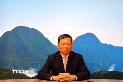 Ông Hoàng Đình Thắng - Chủ tịch Liên hiệp Hội người Việt Nam tại châu Âu, Ủy viên Đoàn Chủ tịch Ủy ban Trung ương Mặt trận Tổ quốc Việt Nam. (Ảnh Việt Thắng/TTXVN)