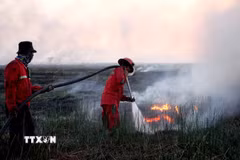 Lính cứu hỏa nỗ lực dập lửa cháy rừng tại Ogan Ilir, tỉnh Nam Sumatra, Indonesia. (Ảnh: THX/TTXVN phát)