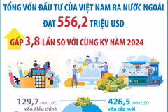 Đầu tư của Việt Nam ra nước ngoài và đầu tư nước ngoài vào Việt Nam 8 tháng qua