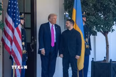Tổng thống Mỹ Donald Trump và Tổng thống Ukraine Volodymyr Zelensky. (Ảnh: THX/TTXVN phát)