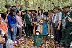 Một lối xuống địa đạo Củ Chi. (Ảnh: Hồng Giang/TTXVN)