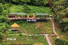 Chủ tiệm cà phê Lưng Chừng (xã Tri Tôn, An Giang) tự ý chuyển đất rừng phòng hộ sang đất phi nông nghiệp bị xử phạt vi phạm hành chính. (Ảnh: TTXVN phát)